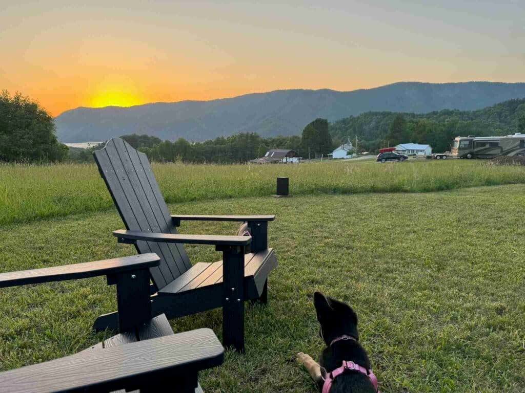 campgrounds near watauga lake tn​